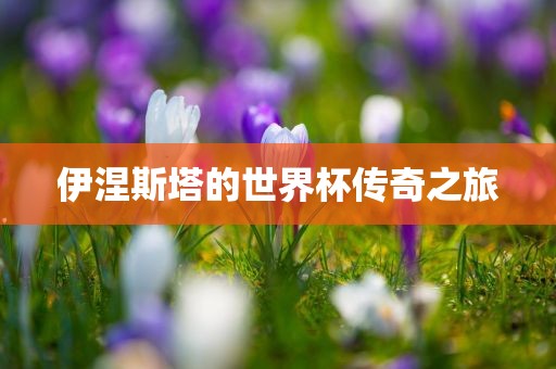 伊涅斯塔的世界杯传奇之旅