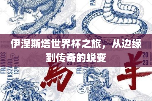 伊涅斯塔世界杯之旅，从边缘到传奇的蜕变