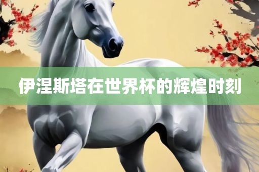 伊涅斯塔在世界杯的辉煌时刻江门市永晋源无纺布有限公司