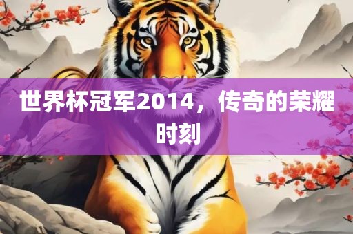 世界杯冠军2014，传奇的荣耀时刻