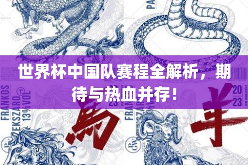 世界杯中国队赛程全解析，期待与热血并存！