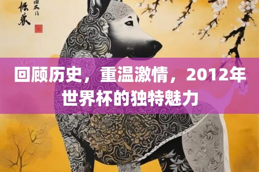 回顾历史，重温激情，2012年世界杯的独特魅力