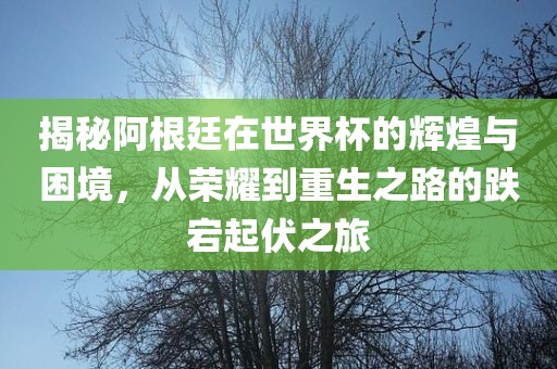 揭秘阿根廷在世界杯的辉煌与困境，从荣耀到重生之路的跌宕起伏之旅