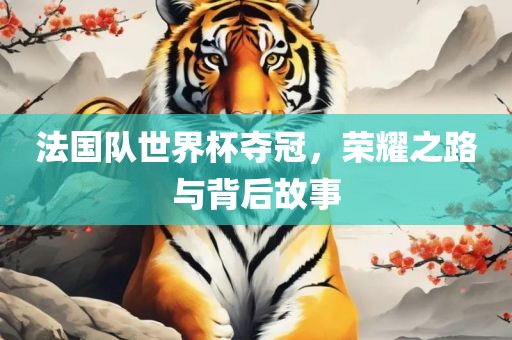 法国队世界杯夺冠，荣耀之路与背后故事江门市永晋源无纺布有限公司