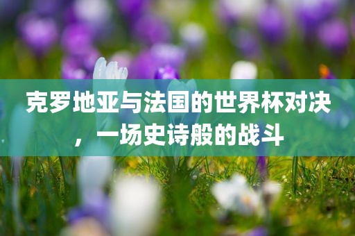 百度热搜 第245页