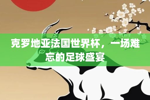 克罗地亚法国世界杯，一场难忘的足球盛江门市永晋源无纺布有限公司宴