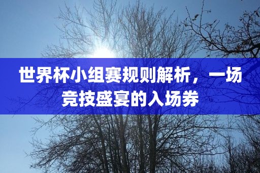 世界杯小组赛规则解析，一场竞技盛宴的入场券