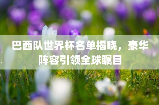 巴西队世界杯名单揭晓，豪华阵容引领全球瞩目