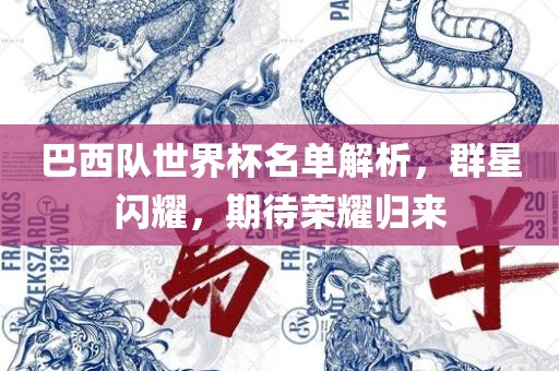 巴西队世界杯名单解析，群星闪耀，期待荣耀归来