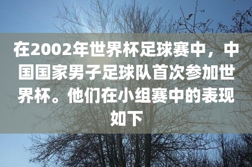 在2002年世界杯足球赛中，中国国家男子足球队首次参加世界杯。他们在小组赛中的表现如下