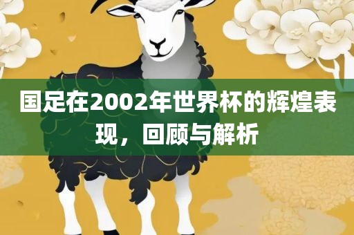 国足在2002年世界杯的辉煌表现，回顾与解析
