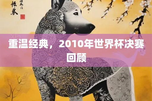 重温经典，2010年世界杯决赛回顾