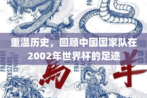 重温历史，回顾中国国家队在2002年世界杯的足迹