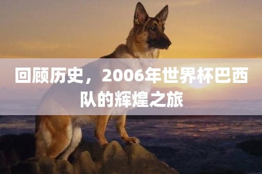 回顾历史，2006年世界杯巴西队的辉煌之旅
