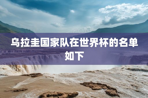 乌拉圭国家队在世界杯的名单如下江门市永晋源无纺布有限公司