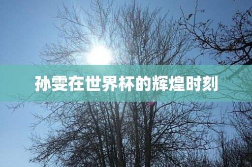 孙雯在世界杯的辉煌时刻