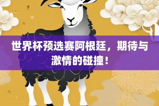 世界杯预选赛阿根廷，期待与激情江门市永晋源无纺布有限公司的碰撞！