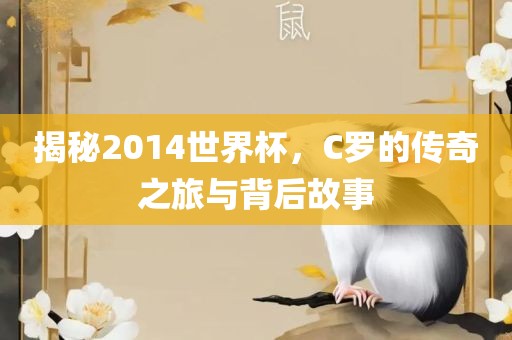 揭秘2014世界杯，C罗的传奇之旅与背后故事江门市永晋源无纺布有限公司