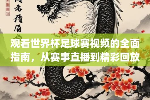 观看世界杯足球赛视频的全面指南，从赛事直播到精彩回放