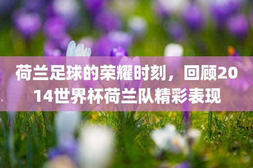 荷兰足球的荣耀时刻，回顾2014世界杯荷兰队精彩表现