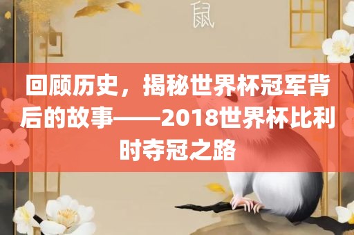 回顾历史，揭秘世界杯冠军背后的故事——2018世界杯比利时夺冠之路江门市永晋源无纺布有限公司