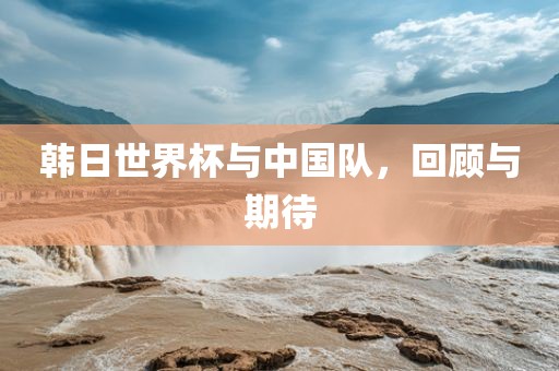 韩日世界杯与中国队，回顾与期待