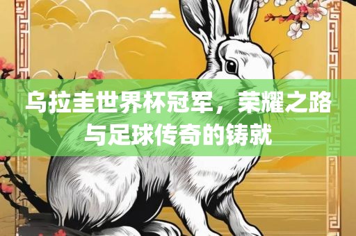 乌拉圭世界杯冠军，荣耀之路与足球传奇的铸就