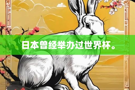 日本曾经举办过世界杯。江门市永晋源无纺布有限公司
