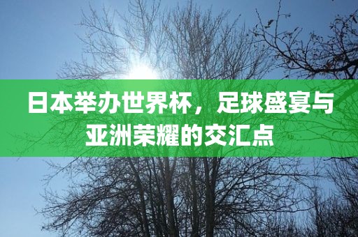 日本举办世界杯，足球盛宴与亚洲荣耀的交汇点
