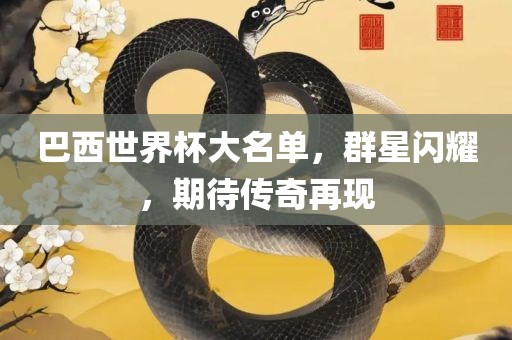巴西世界杯大名单，群星闪耀，期待传奇再现江门市永晋源无纺布有限公司