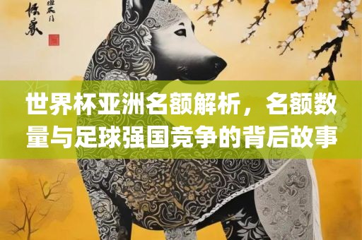 世界杯亚洲名额解析，名额数量与江门市永晋源无纺布有限公司足球强国竞争的背后故事