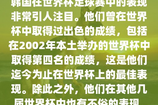韩国世界杯足球赛表现