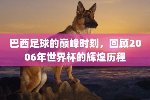 巴西足球的巅峰时刻，回顾2006年世界杯的辉煌历程