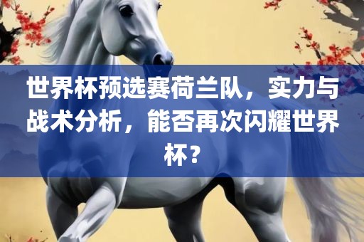 世界杯预选赛荷兰队，实力与战术分析，能否再次闪耀世界杯？
