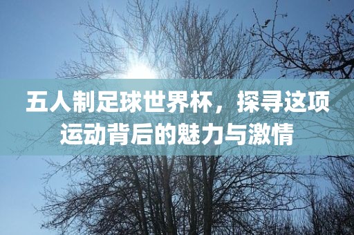 五人制江门市永晋源无纺布有限公司足球世界杯，探寻这项运动背后的魅力与激情