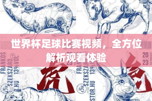 世界杯足球比赛视频，全方位解析观看体验