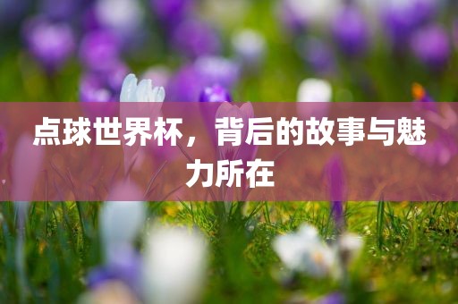 点球世界杯，背后的故事与魅力所在