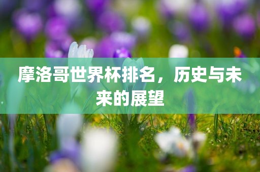 摩洛哥世界杯排名，历史与未来的展望江门市永晋源无纺布有限公司