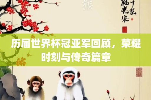 历届世界杯冠亚军回顾，荣耀时刻与传奇篇章