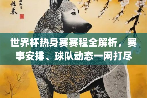 世界杯热身赛赛程全解析，赛事安排、球队动态一网打尽