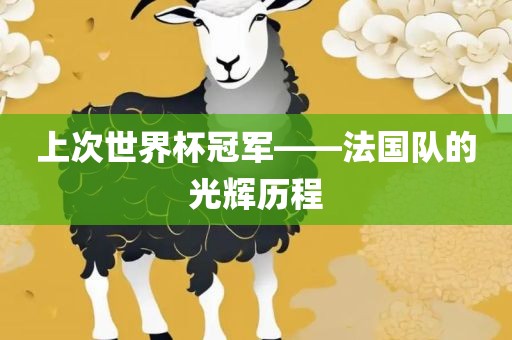 上次世界杯冠军——法国队的光辉历程