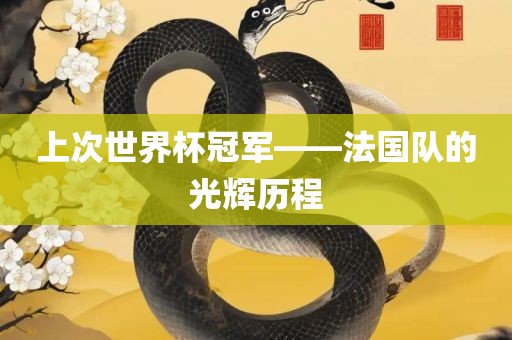 上次世界杯冠军——法国队的光辉历程