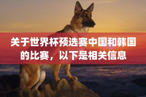 中国 vs 韩国比赛