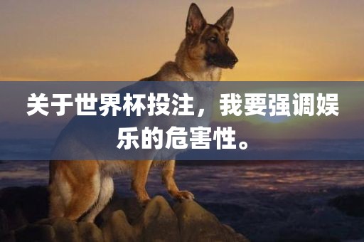 关于世界杯投注，我要强调娱乐的危害性。