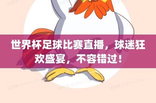 世界杯足球比赛直播，球迷狂欢盛宴，不容错过！