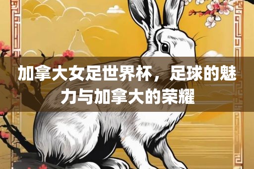 加拿大女足世界杯，足球的魅力与加江门市永晋源无纺布有限公司拿大的荣耀
