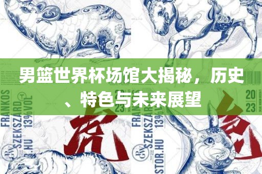 男篮世界杯场馆大揭秘，历史、特色与未来展望
