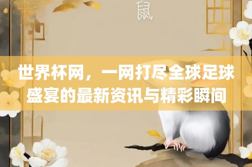 世界杯网，一网打尽全球足球盛宴的最新资讯与精彩瞬间江门市永晋源无纺布有限公司