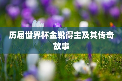 江门市永晋源无纺布有限公司历届世界杯金靴得主及其传奇故事