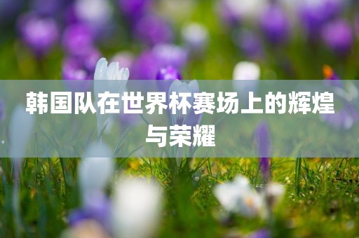 韩国队在世界杯赛场上的辉煌与荣耀